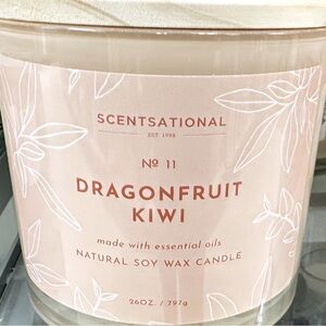Dragonfruit Kiwi Natural Soy Wax Candle Scentsational 1-wick 11oz